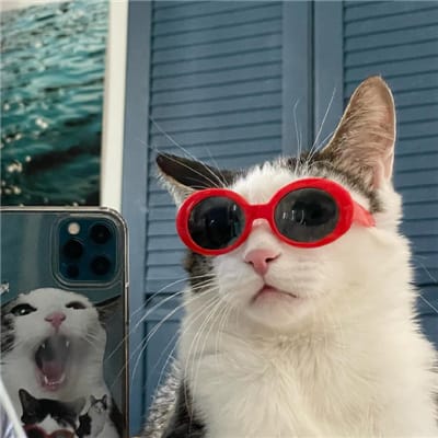 Budi Kurniawan avatar